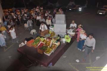 Romería ofrenda a San Venancio en Casas Nuevas (Foto TF)